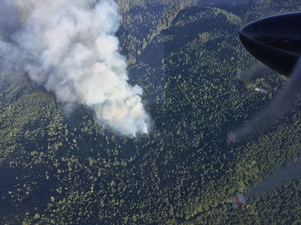 CALFIRE_HUU's tweet image. #SummitFire estimated at 11 acres. Redwood Valley near Hwy 299.