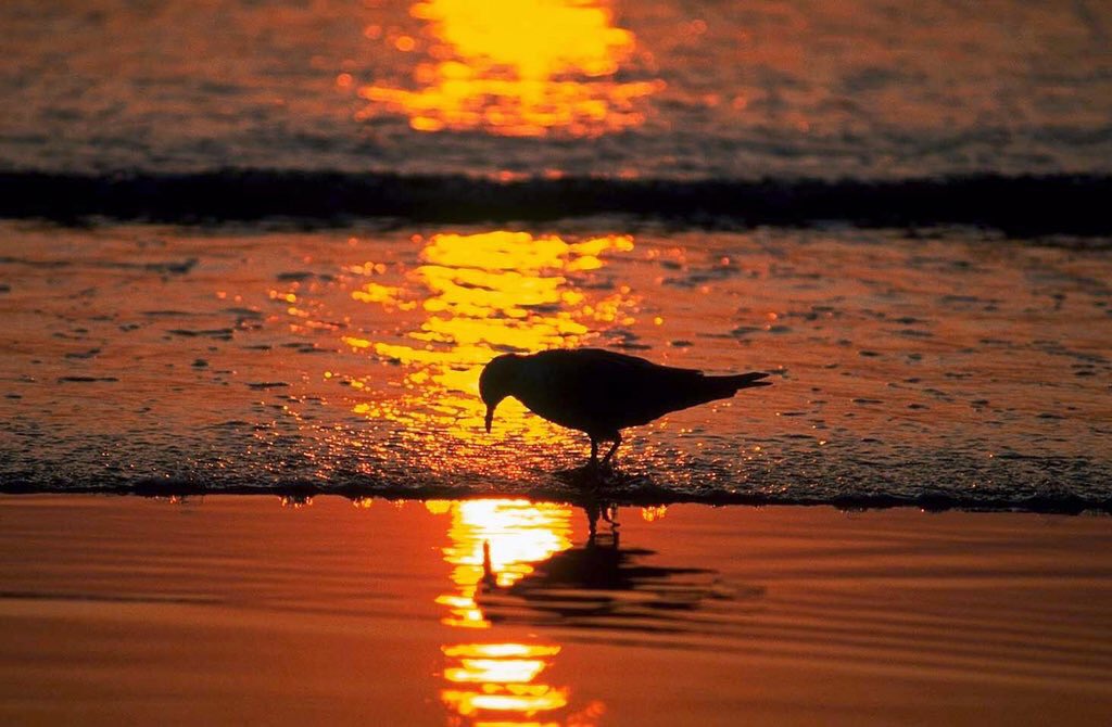 بهدوء الفجر وروعته
ربي لا تحرمنا من أمنية تفـرح قلوبنا
ربي أشرق مع نور شمسك بشائراً من الفرح تسعدنا

💕 صباح الخير 💕