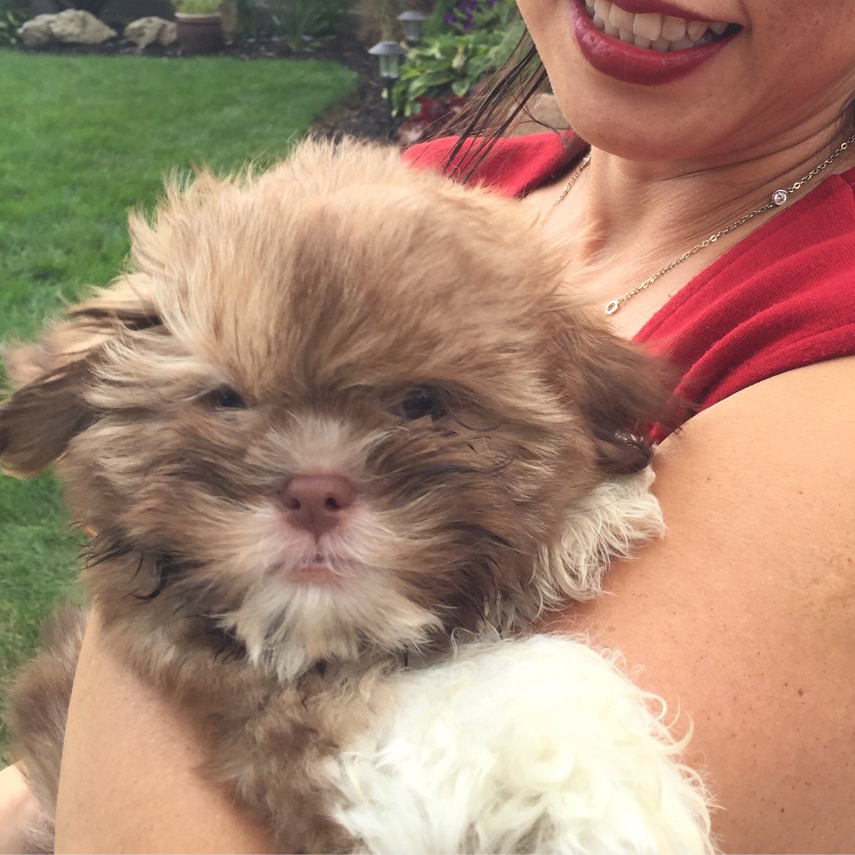 MeetMaryWong's tweet photo. #GratefulnessProject D#351 loving one child, cat & neighbours' puppy #pathwaystopregnancy #ivf https://t.co/8B3zhKbsSn