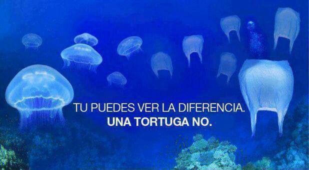 Ecogranjero's tweet photo. Debemos ser más responsables para que otros animales no sufran a causa de ello https://t.co/wlrlo0UWAe