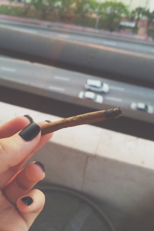 Jess36696571's tweet image. I have a blunt in one hand and your hand in the other, wondering which flame will burn out faster.