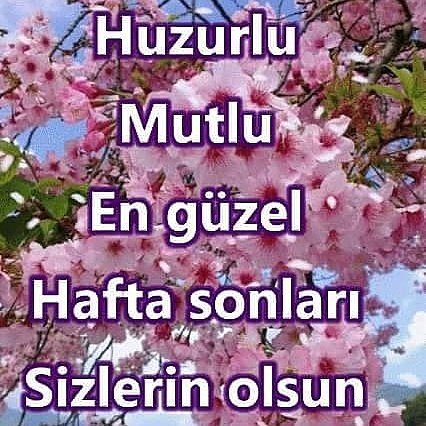 GÜNAYDIN.   HAYIRLI. SABAHLAR. ASIL. TÜRK. MILLETI