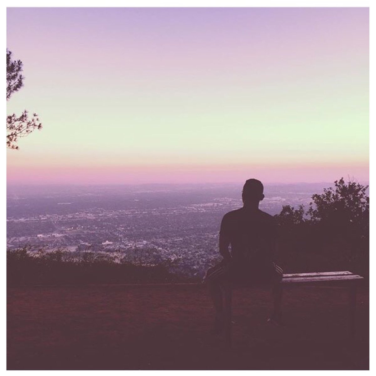 EnjoyPasadena's tweet photo. View from the top! At Henninger Flats 🌲 | 📷:FernandoRodriguez #MyDayInLA @LATimescitybeat https://t.co/TPBVbsPk0Q