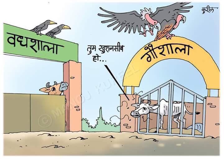 Mogambo_'s tweet photo. #beefban #गौ_हत्यारीBJP #गौ_हत्यारी #cowspiracy https://t.co/KxqYh6OY5P