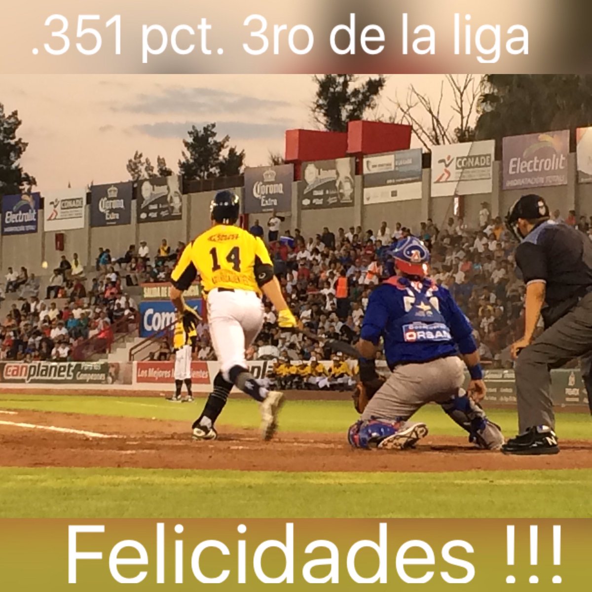 RielerosDeAgs's tweet photo. #TimTorres "El Moro" termina en 3ro de @LigaMexBeis en pct. de bateo .351 #VamosMiRiel https://t.co/CPRAWHvs1E