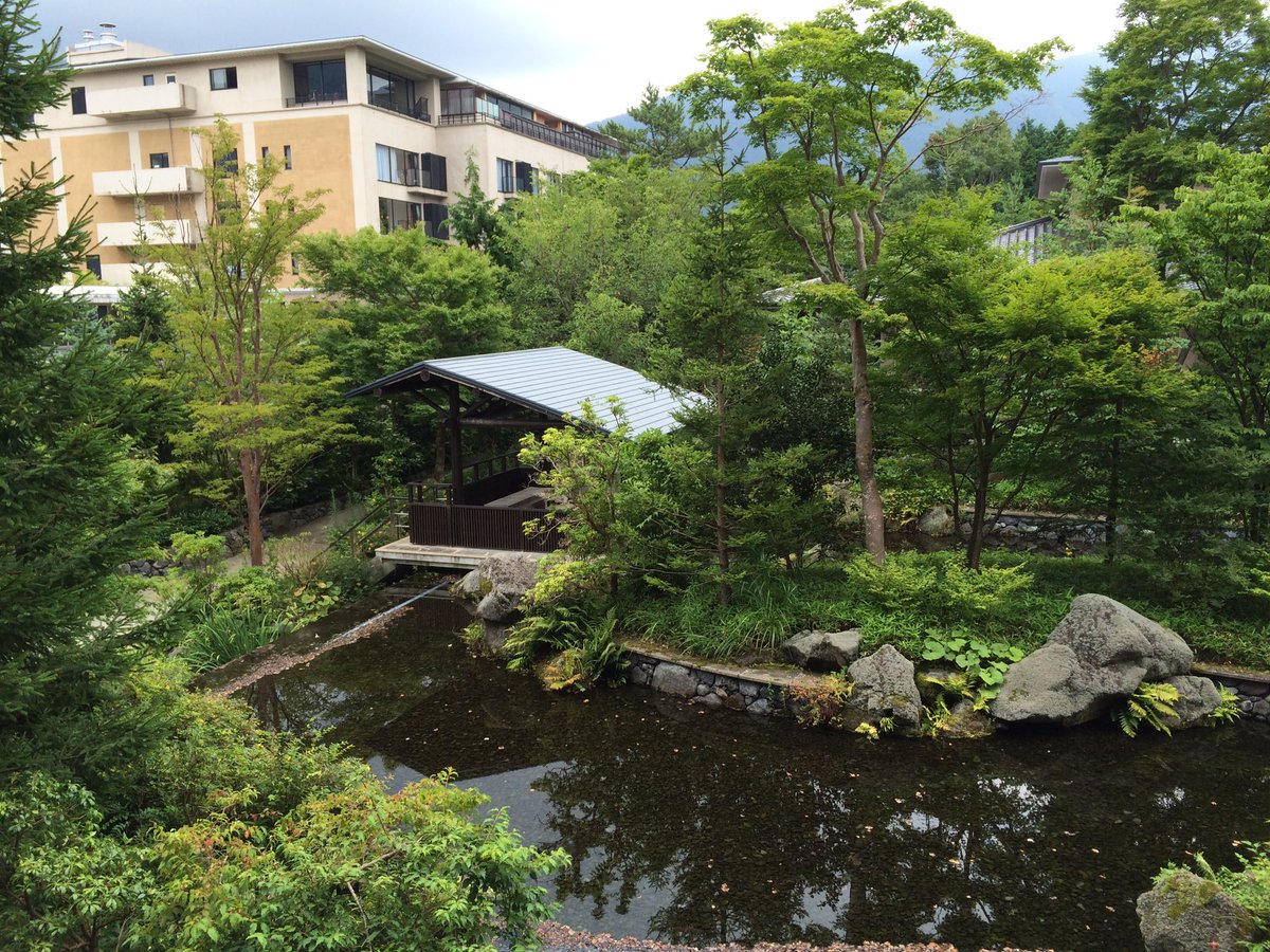 Mr Exam Technique tweet media