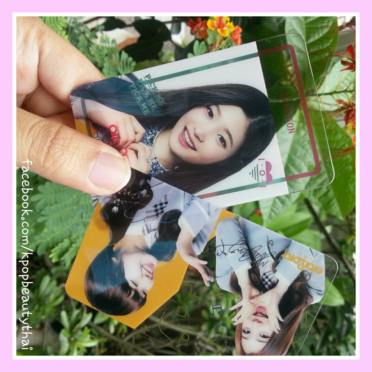 Koreatalk2022's tweet photo. [IOI] พรีการ์ดใสจากเกาหลี 1กล่อง 25 ใบ มีหลายวง 250 บาท สอบถามได้จ้า #IOI #การ์ดใส #transparentcard https://t.co/APU9aflYhY