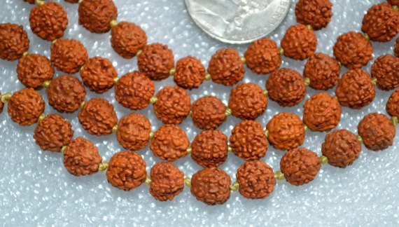 KailashVaani9's tweet photo. Rudraksha beads are held in great reverence and may be the earliest known form of prayer beads https://t.co/73nRnT8C2v