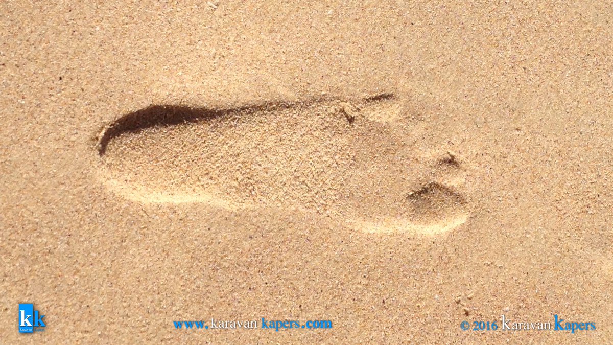 #KaravanKapers @ #Mollymook beach on a hot summer day. #4wdadventures #4wd #newsouthwales #4x4 #offroad #offroading