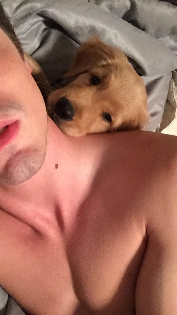 Jacob_Jones1295's tweet photo. Good morning puppers 💙💤 https://t.co/Kde4r700C6
