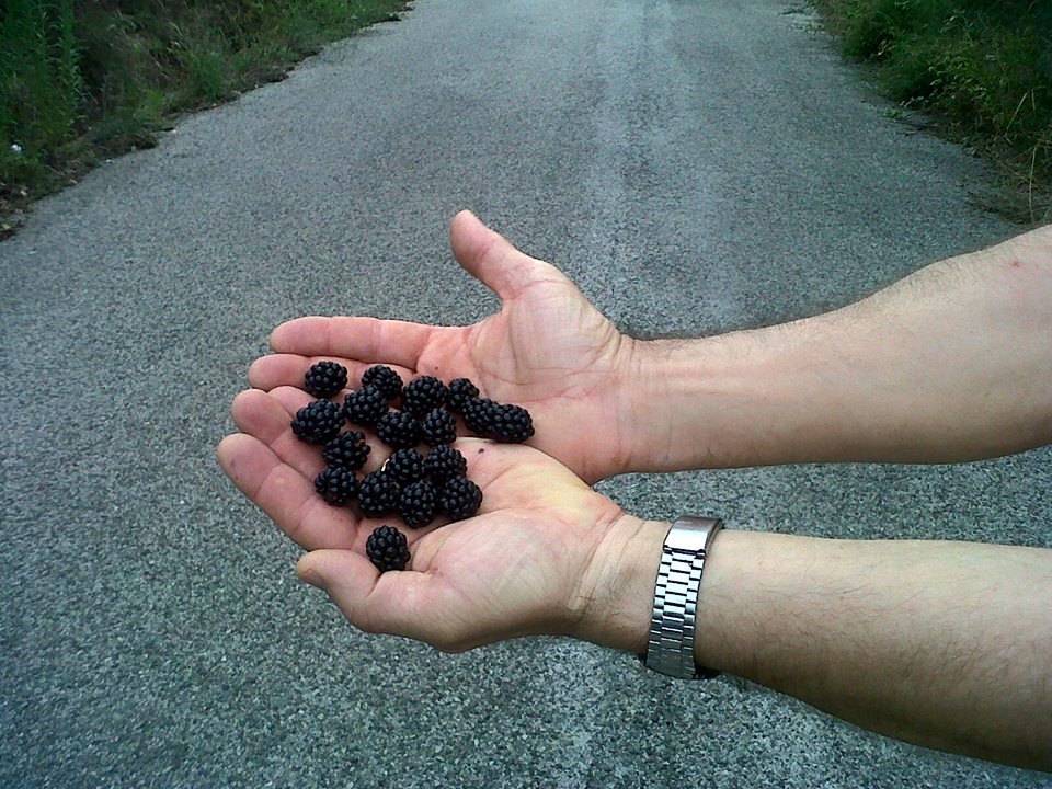 enzomongelli's tweet image. Il dolce sapore dell'attività fisica (strada facendo) #Melfi #MonteVulture #OutsideTraining