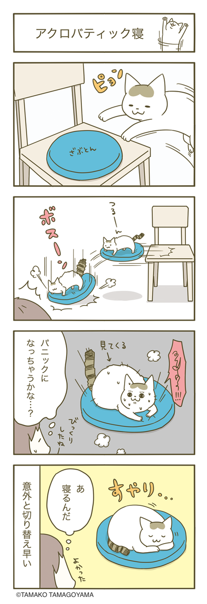 猫まんが。 