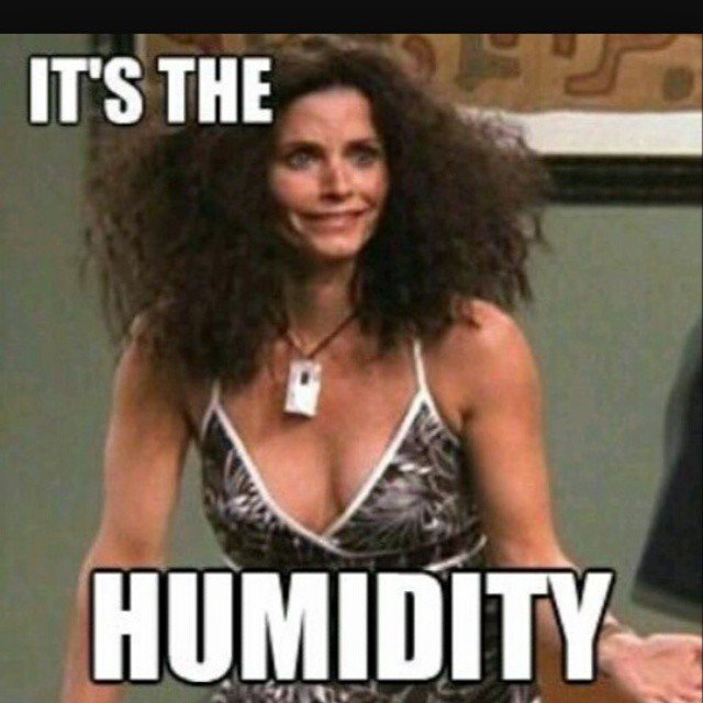 salon_business's tweet photo. Let's all brace ourselves for this weekend's weather ;) #humidityhair https://t.co/svgVGu5tKE