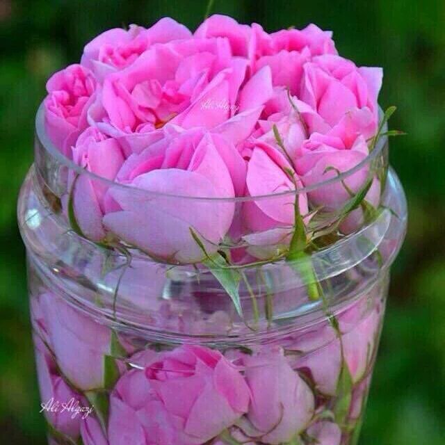 Tag_tulip7 tweet picture