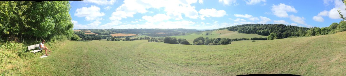 DannyBee_19's tweet photo. Absolutely fantastic experience @ChilternValley Old Luxters winery, vineyard, brewery &amp; B &amp; B @LaraCollins1 https://t.co/bdbHDMGlqk
