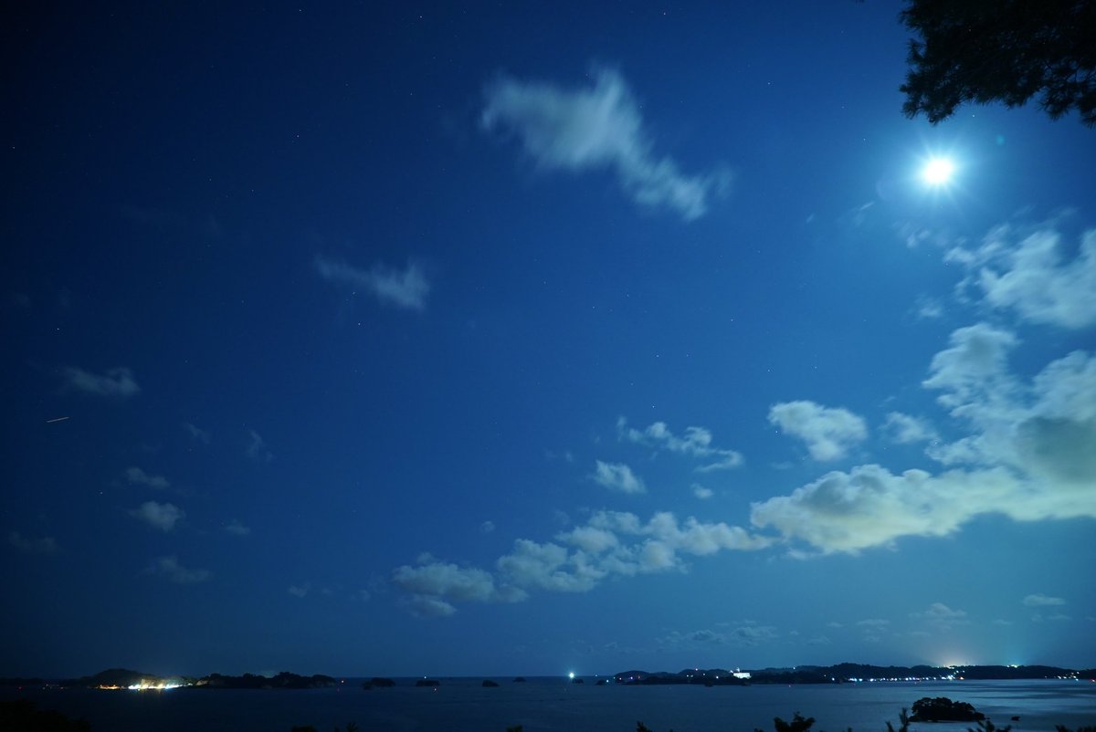 なめこ ペンネーム きのこの木 さん 松島の双観山から眺める夜景でも御覧ください なめこ ペンネーム きのこの木 さん 松島の双観山から眺める夜景でも御覧ください