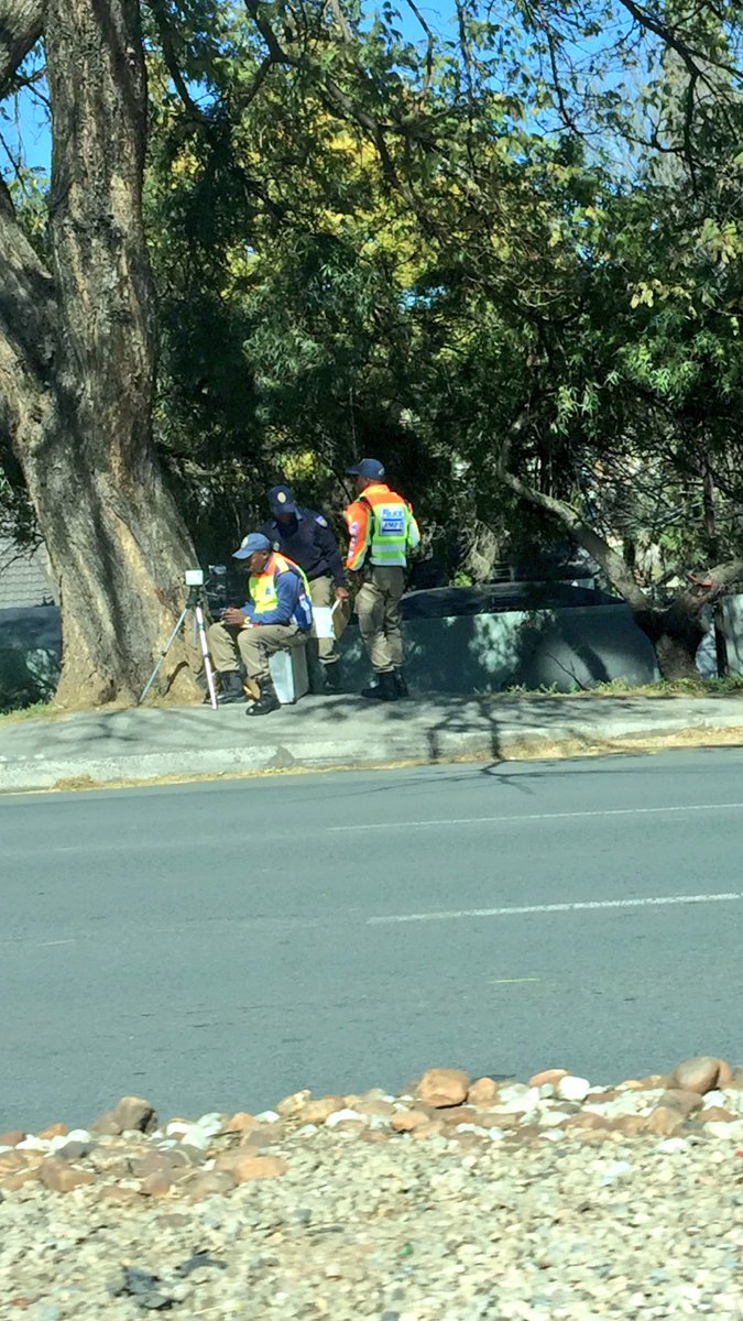PigSpotter tweet picture
