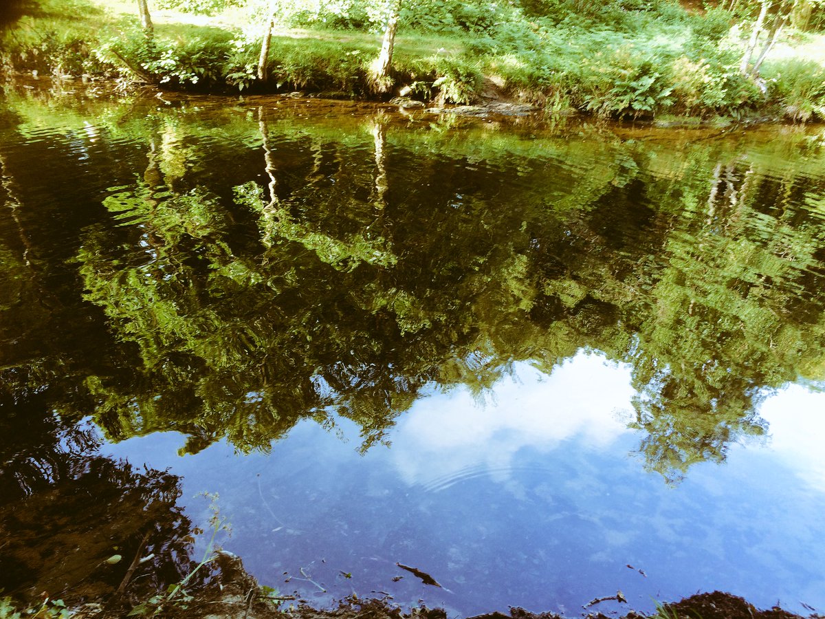 beyondbeach's tweet photo. River #Dart, #Devon - perfect for a Sat morning swim @EdenSwim @caldamac @CaitlinDavies2 https://t.co/d7Dv32ZFo0