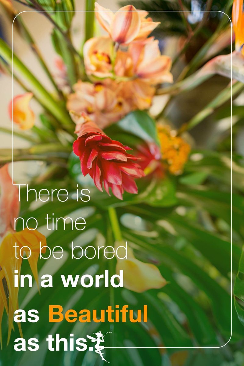A beautiful quote we shared on Facebook! Follow us there to see our collection or go to flowertales.com