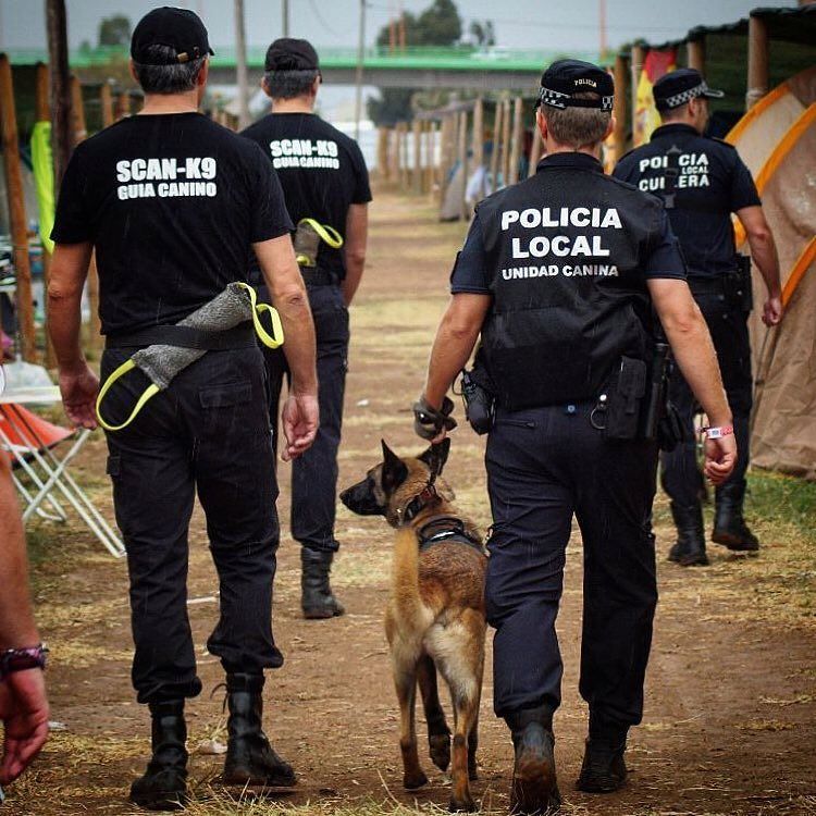 Malinois Lovers tweet media