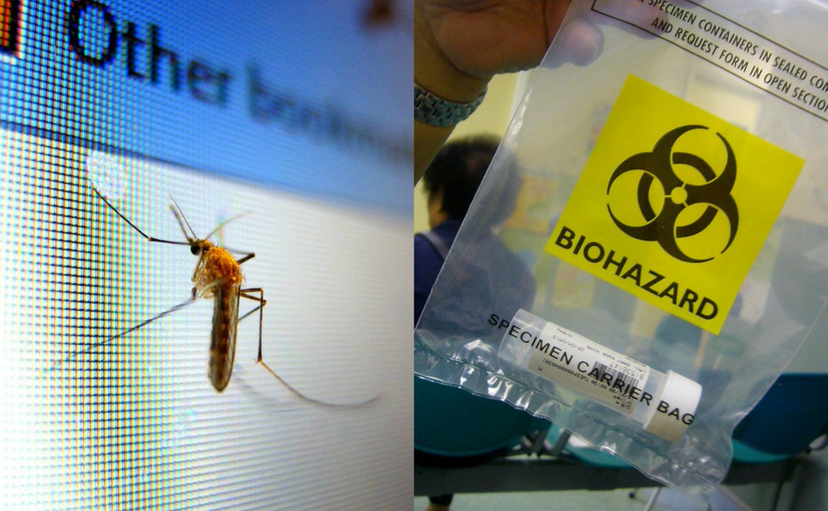 HealthTBN's tweet image. Officers Go Door to ... #Infection #Samplingmusic #SouthCarolina #Turbeville #news wp.me/p7uq53-6ut