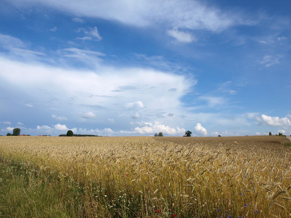 Humanity demands 64% more from nature than Earth can renew. The way forward? ow.ly/VOst303aSaB #GlobalGoals