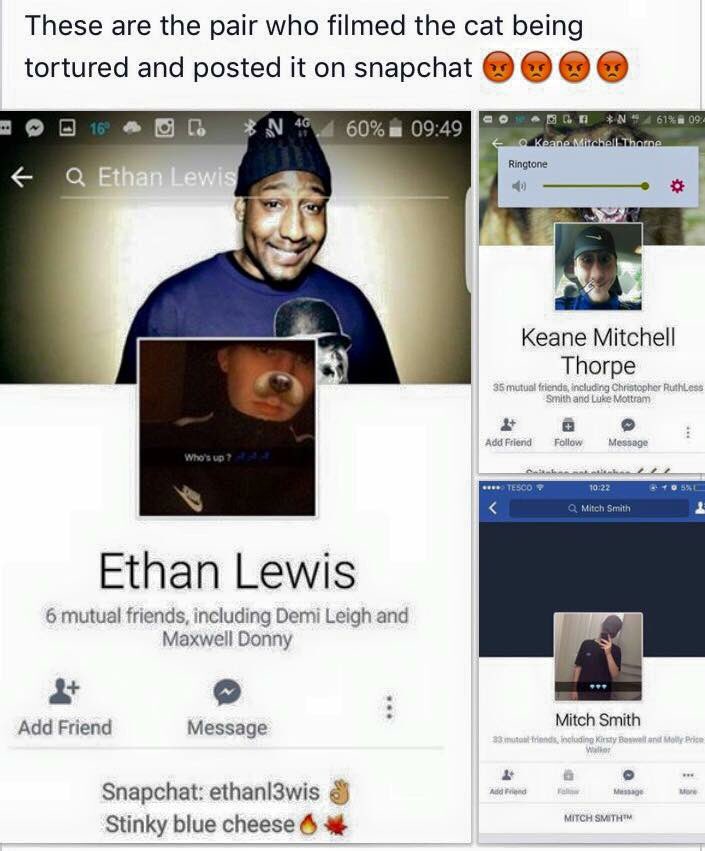 _PetAbuseUK's tweet photo. Cat killed; Ethan Lewis, Keane Mitchell Thorpe, Mitch Smith &amp;Seif Neili #Ridding #Derbyshire https://t.co/0LfHAipoUX https://t.co/IAXwr9OyOG