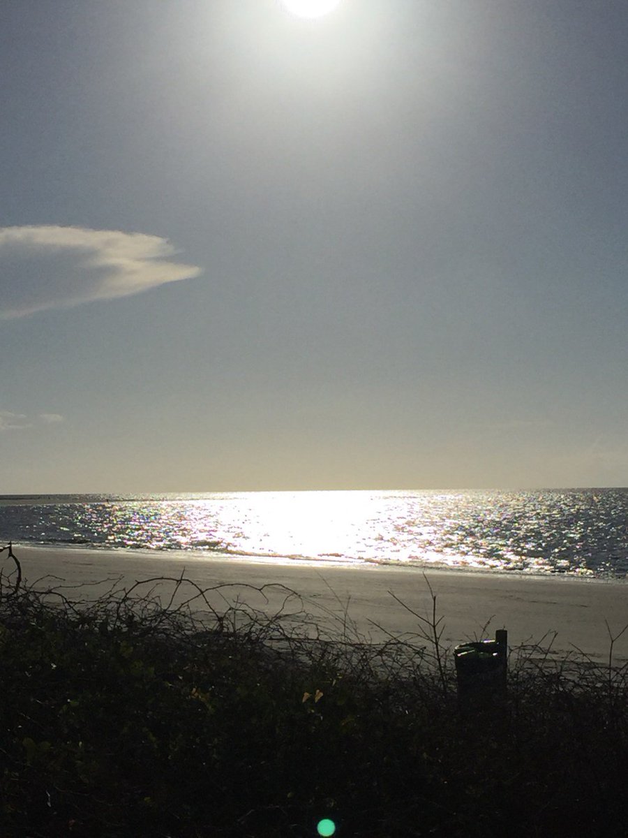 FlowEssentials's tweet photo. Our Morning Workout… https://t.co/PqRXyN3hc4 https://t.co/4tDyjFFwKa
