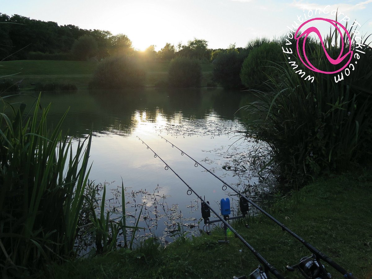 A_Shenton's tweet photo. Always good to get out and cast the rods and land a few 😜 @EvoCarpTackle #Evolve https://t.co/n9dhmPU7mV