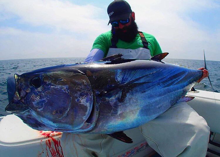 <a href="/reel_addict/">Reel addict 💙</a> with a great #bluefintuna 👍📸🎣👍📸🎣 - #outdoorguidepros