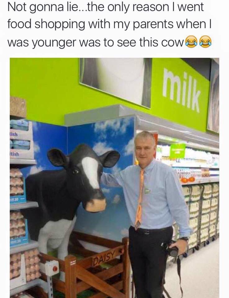 frannh7's tweet photo. Anyone else remember seeing that cow next to the Eggs in Asda? 🙈😂 https://t.co/09NKkpRmEm