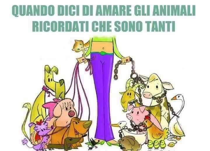 romanafrancy70's tweet photo. Quando dico di amare gli animali #life #freedom #vegan #nocruelty #stopcruelty #allevamentiintensivi #mattatoio https://t.co/NhtDLdLdsI