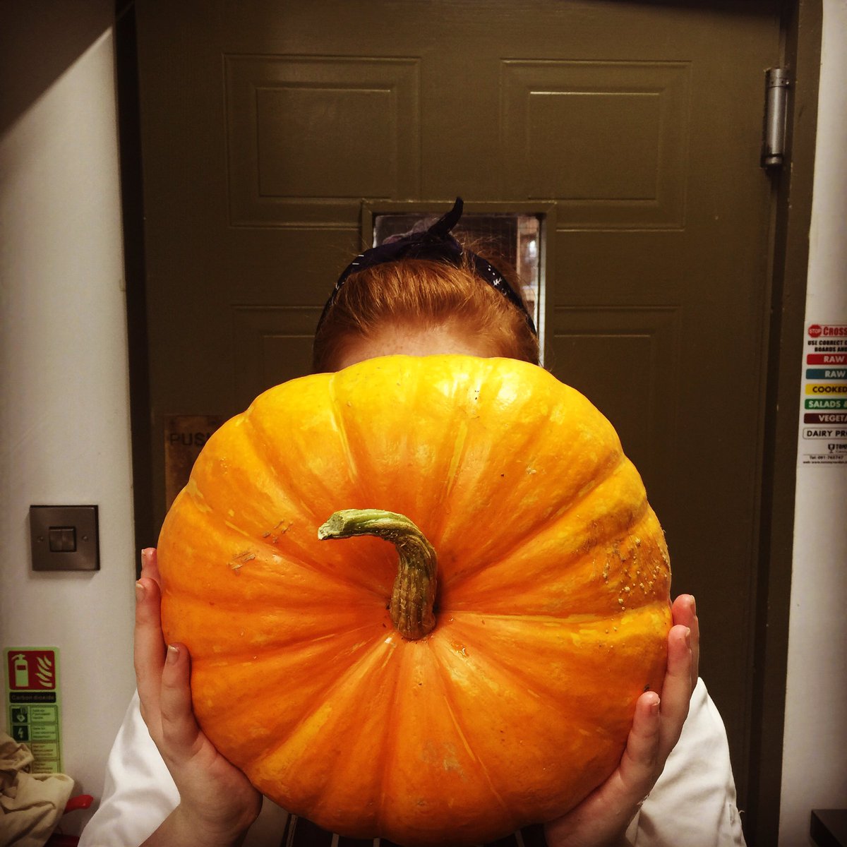 kaigalway's tweet photo. When the Pumpkin matches your hair ! #Hannah #CrazyRed #kai #Saturdays https://t.co/PMsc3aOxkL