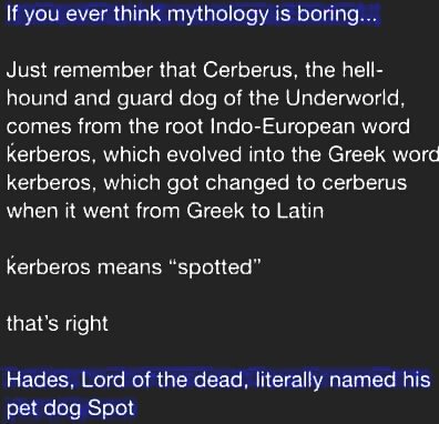 M Kat Morales Twitterissä: "Hades Named His Dog Spot. #Mythology #Cerberus  #Hellhound #Hades #Lordofthedead Https://T.co/Jipdx2Y51V" / Twitter