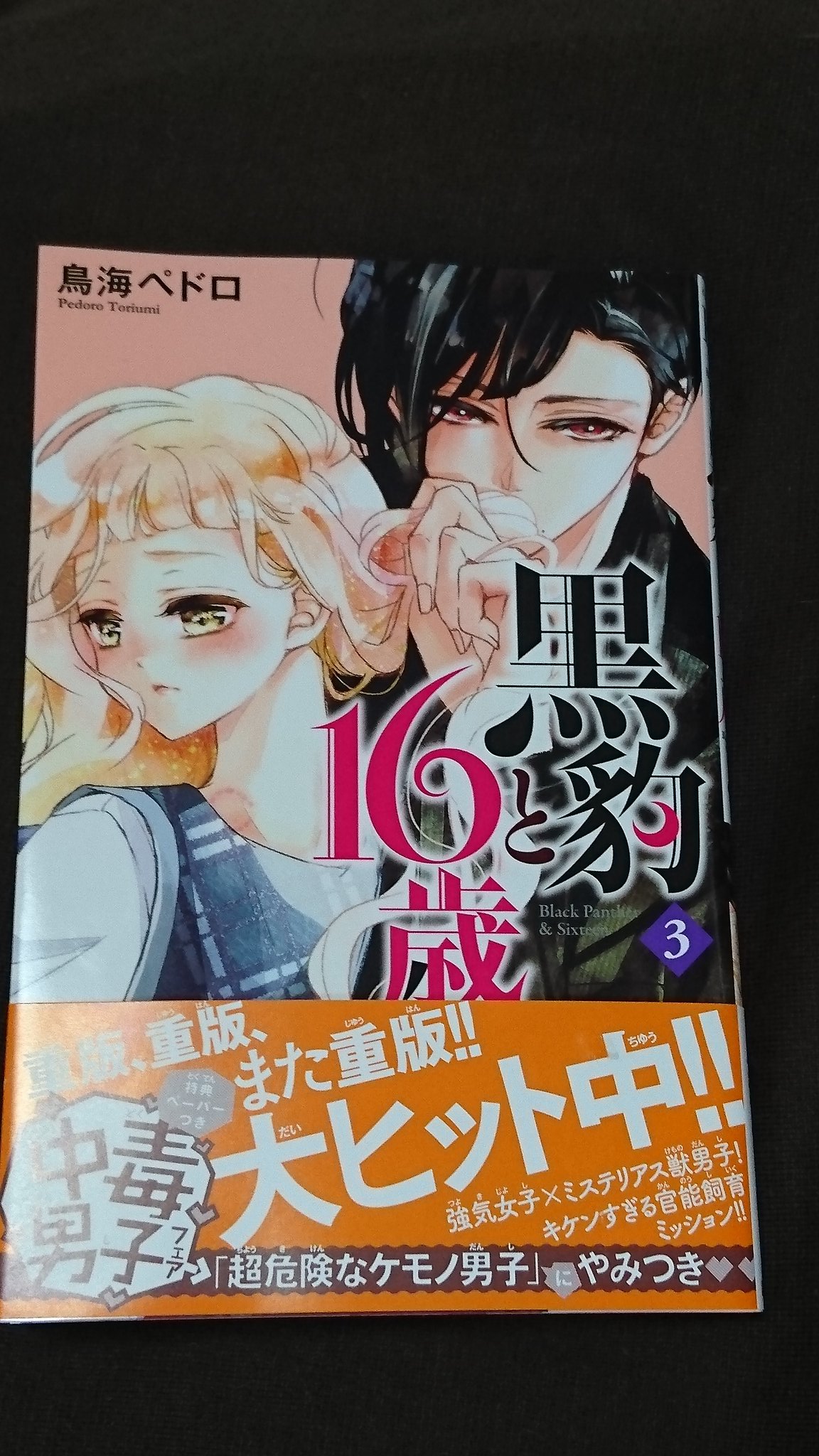 鳥海ペドロ 蝶か 犯か 4巻は０４ １３発売予定 Twitterissa お知らせ 黒豹と16歳 Kc３巻発売です 主人公とヒーローがマウントの取り合いをしている様な漫画ですが キュンもあるはず 初版限定で書き下ろしのペーパーがついてくるみたいです どうぞ
