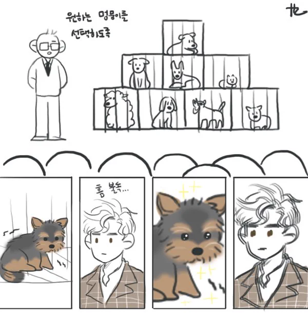 영해리랑 미스터 피클.. 멍뭉이 고르는 거 성격테스트 같다 ㅋㅋ 