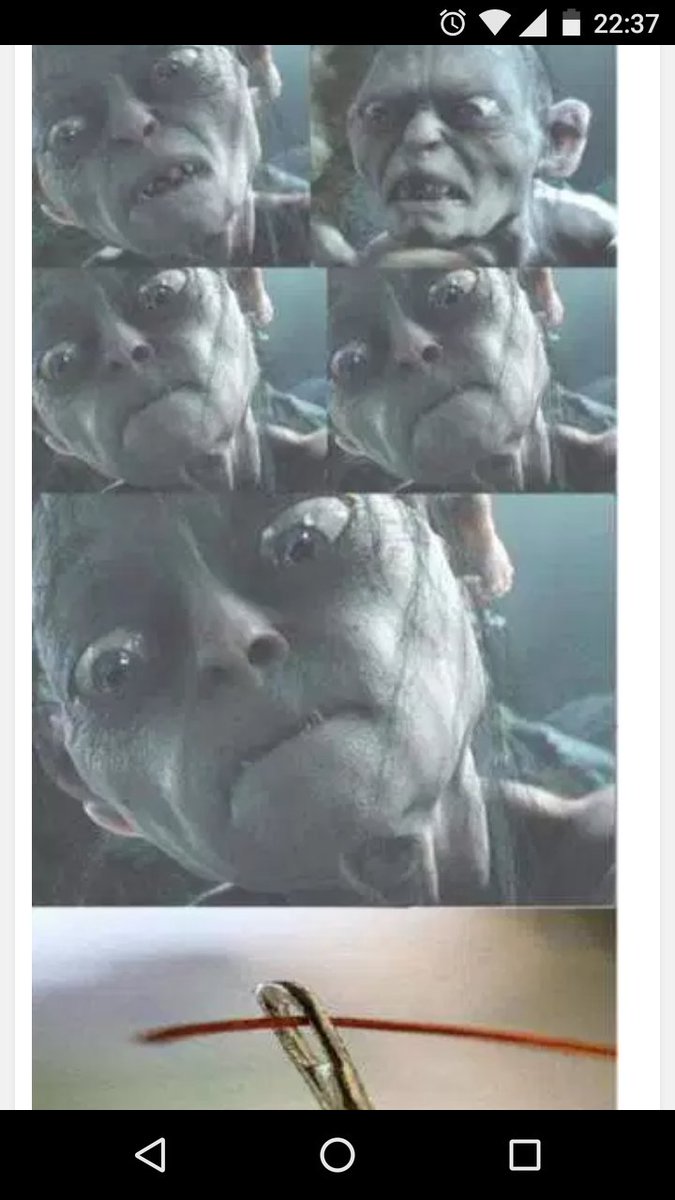 sheyla 💕🌹 (@sheylaalbuquerq) on Twitter photo 