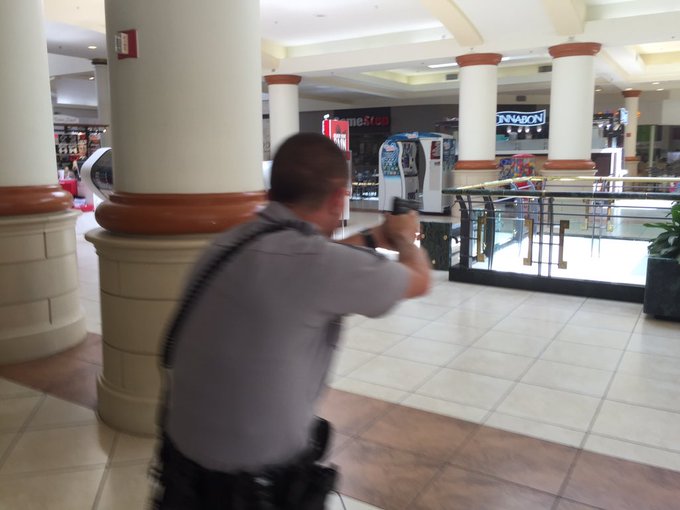 View image on Twitter