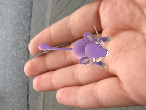 PokeSnapshots's tweet photo. My Ratata had a baby! Isn't it so tiny and cute!?
#PokeSnapshots #PokemonGO https://t.co/6c8Fx7b7cC