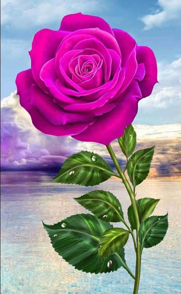 abas19811981ab2's tweet photo. مساءالوردلكل لعراقين https://t.co/y8AmtntJ7l
