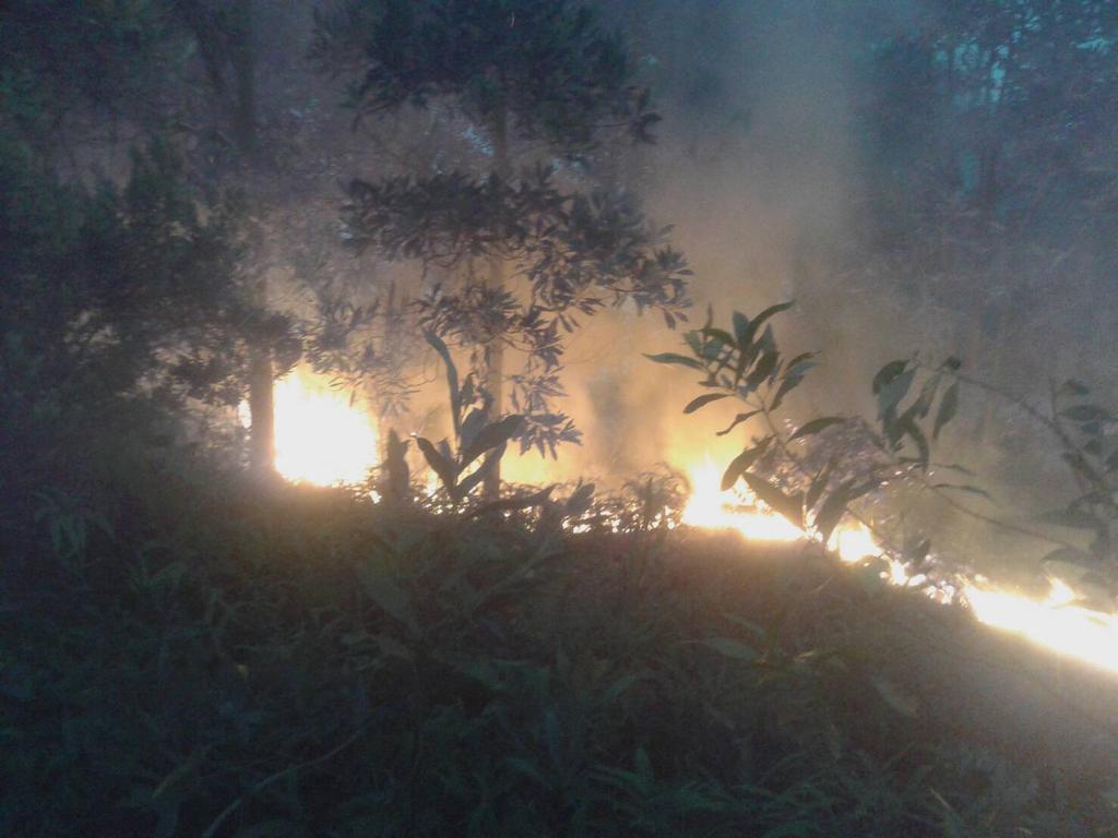 Damkar_TPI's tweet photo. Jaya 65 Lahan di Km 14 arah kijang https://t.co/u09CMKGdiI