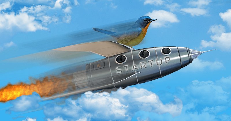 6 Reasons Why Twitter Is a Secret Weapon for Startup Success - bit.ly/22vrZbc