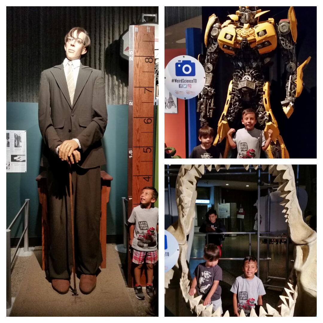 rblanco29's tweet photo. Cool believe it or not display @OntScienceCtr #WeirdScienceTO https://t.co/OHoBqKoqix