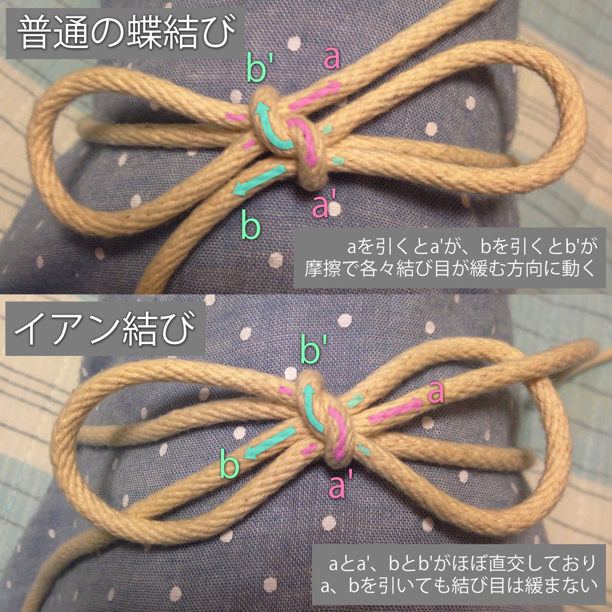 Dddo 自宅療養 على تويتر 普通の蝶結びとイアン結びの違い なぜほどけにくいか を図解 前者は 蝶の羽 を持って結ぶ関係上 両端の紐が 結び目を構成する部分と並走するため 端を引くと摩擦で結び目が緩む方向に動きます 後者イアン結びは 続 Dddo 自宅療養 على تويتر 普通の蝶結びとイアン結びの違い なぜほどけにくいか を図解 前者は 蝶の羽 を持って結ぶ関係上 両端の紐が 結び目を構成する部分と並走するため 端を引くと摩擦で結び目が緩む方向に動きます 後者イアン結びは 続