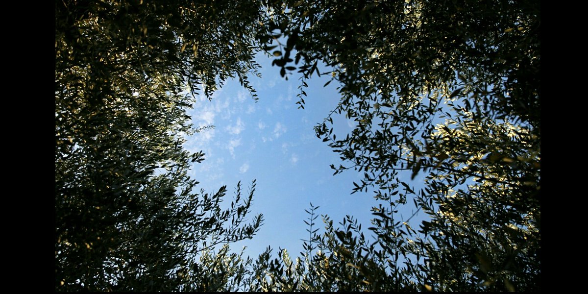 Uranietta's tweet photo. #skywindow #tenutamontelibretti https://t.co/Iga0GDB2ba