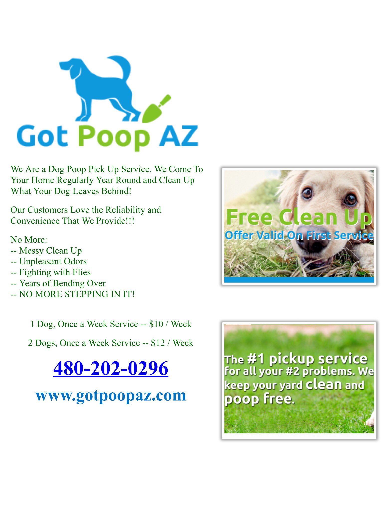 How Do You Pick Up Dog Poop Without Bending Over