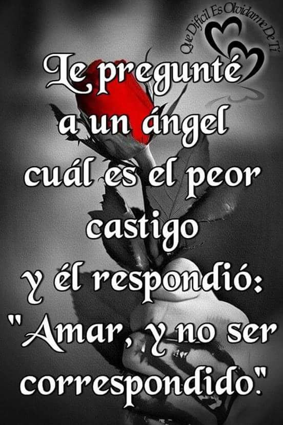 deynamles's tweet photo. UN EXELENTE DIA PARA TODOS!!! CUIDEMOS DE NUESTRAS MASCOTAS:VACUNANDO,ESTERILIZANDO,ALIMENTANDO Y ADOPTANDO!! https://t.co/rqHK0OfX2w