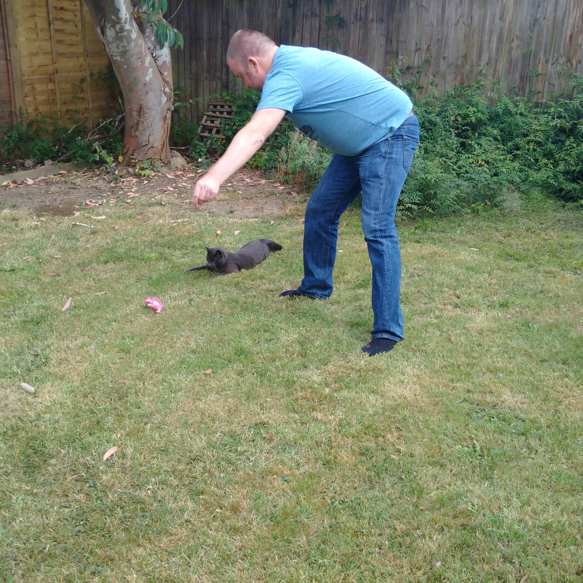 BlueEarthMngmnt's tweet photo. Give a man a cat to play with...#Godkitty https://t.co/7lqBSPH6Sq