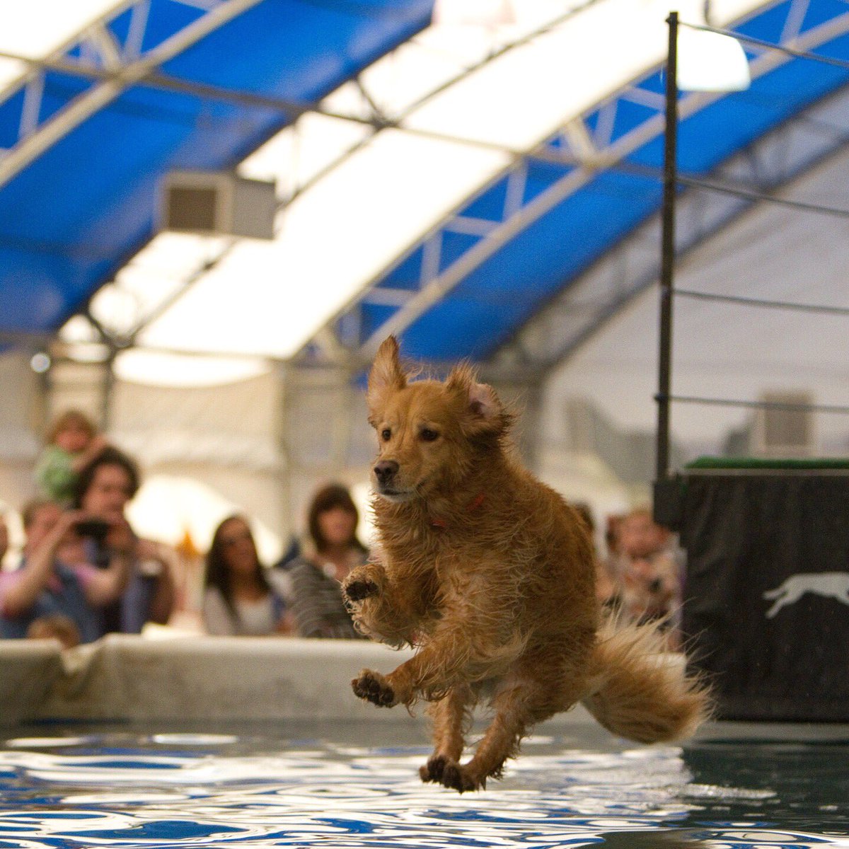 WAStateFairEC's tweet image. It's going to be a scorcher today! Tell us how you're beating the heat for a chance to win cool prizes! #WAStateFair