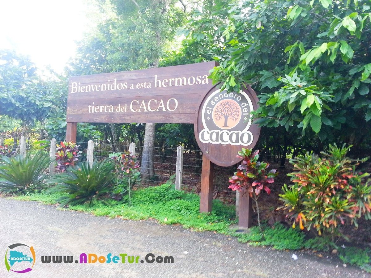 ADoSeTur's tweet photo. En el @senderodelcacao capital del chocolate dominicano. #rd #turismo @MiturRD @GoDomRep https://t.co/32V4KV9SQl